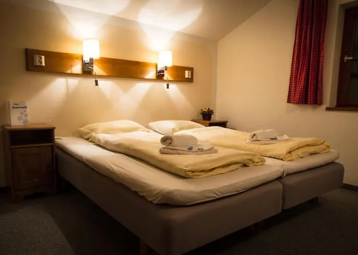 Гостевой дом Haus Innerwald By Chatel Reizen